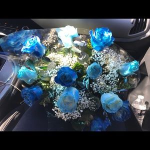 Meet your Posher, Mia